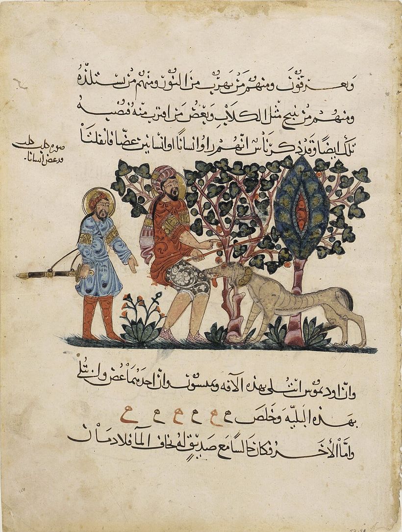 Arabisk illustrerad handskrift av De Materia Medica